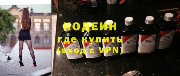 индика Балахна