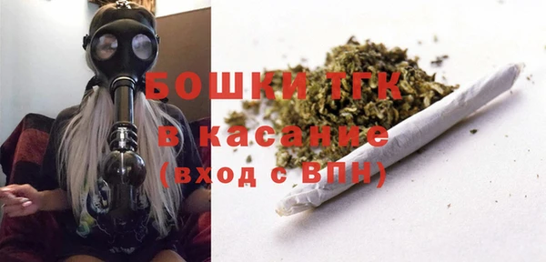 ГАЛЛЮЦИНОГЕННЫЕ ГРИБЫ Инсар