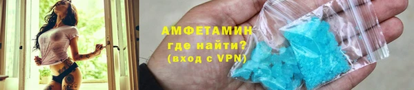 крисы Каменногорск