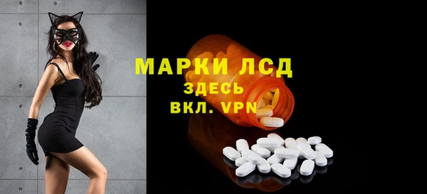 индика Балахна