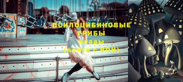 индика Балахна