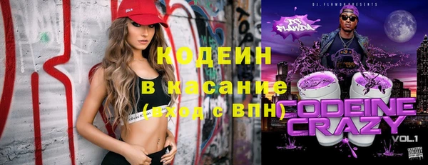 индика Балахна