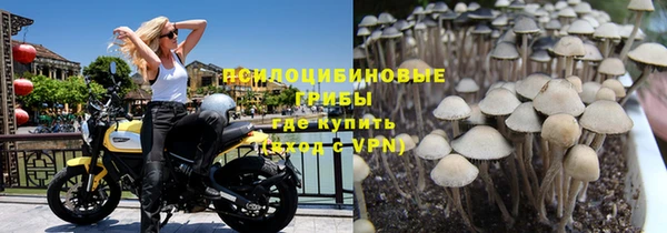 индика Балахна
