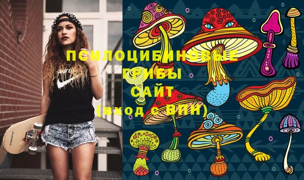 кокс Баксан