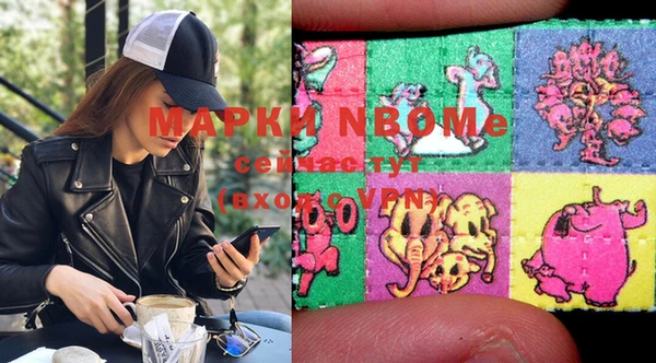 индика Балахна