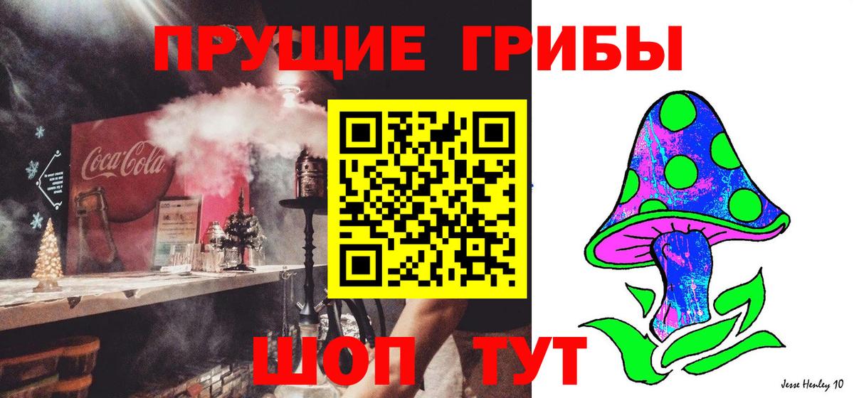 Нерюнгри  Галлюциногенные грибы Cubensis  Галлюциногенные грибы ЛСД  Вход с VPN 